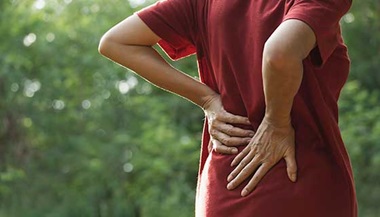 Cord blood cells may provide therapy for muscle and bone disorders