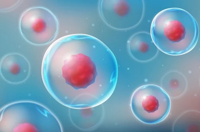 Cord Blood Hope for Bowel Disease