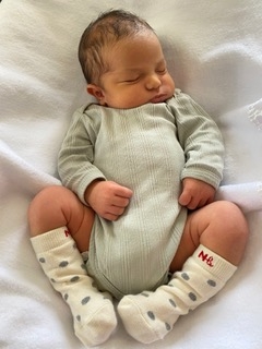 Baby Gray