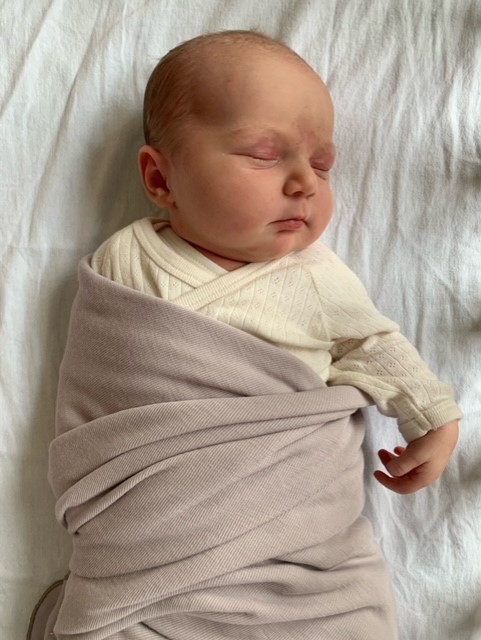 Baby Lily