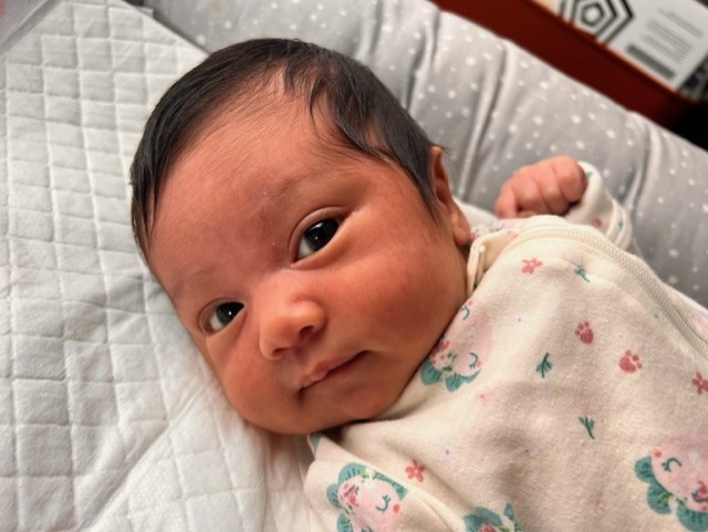 Baby Millie