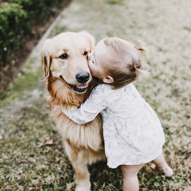 Dogs and kids – how they help