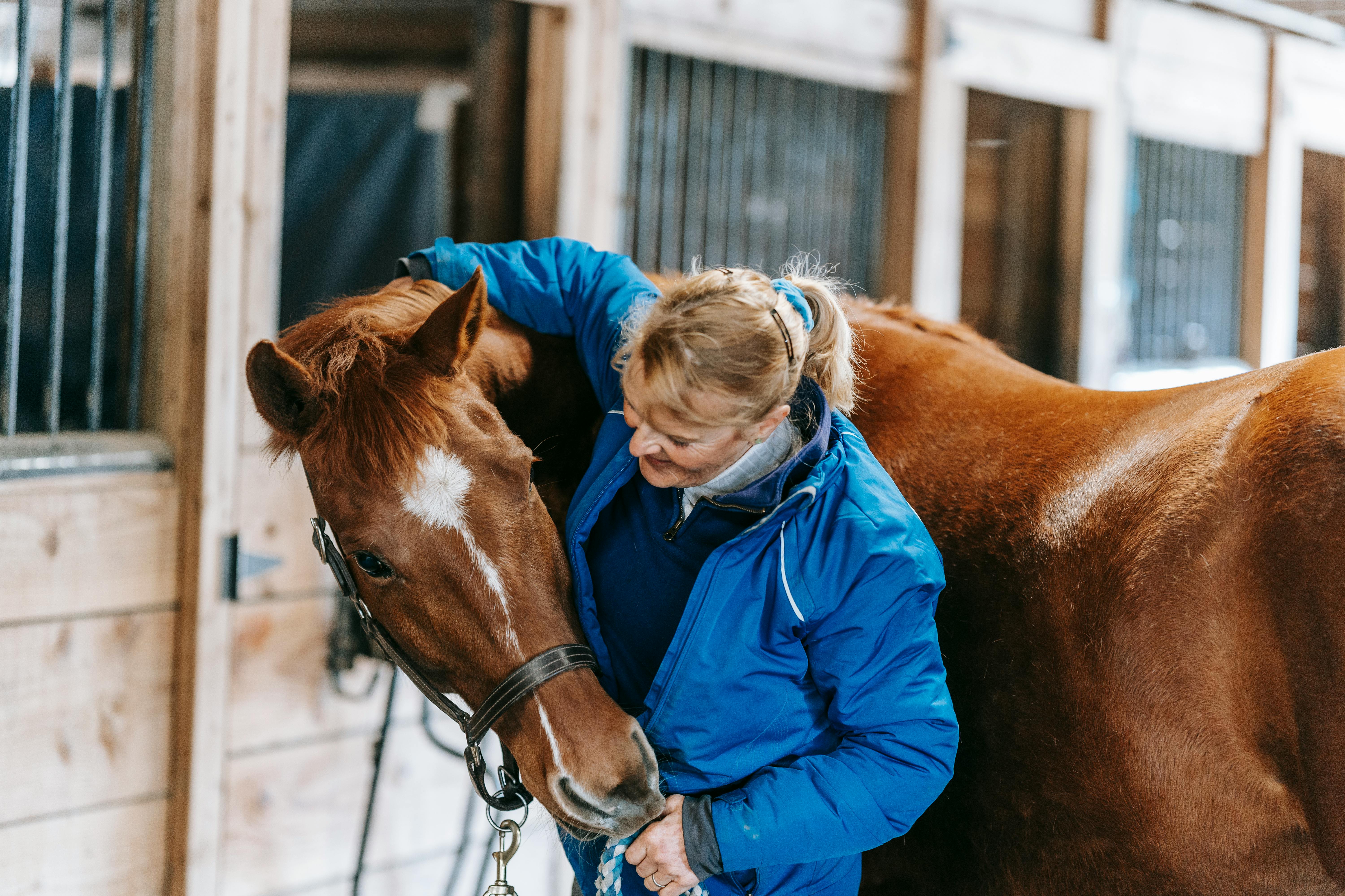 FDA Approves Stem Cell Trial for Dogs and Horses