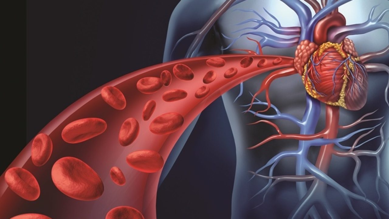 Cord Blood May Help Repair Children’s Heart Defects