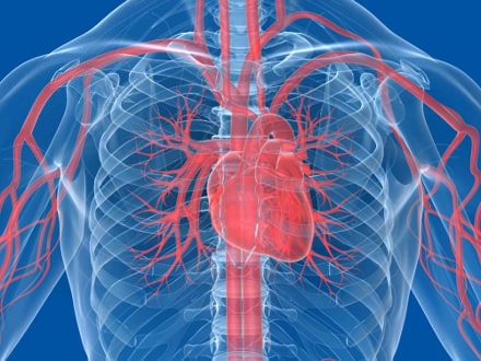 Cord blood helps after heart failure